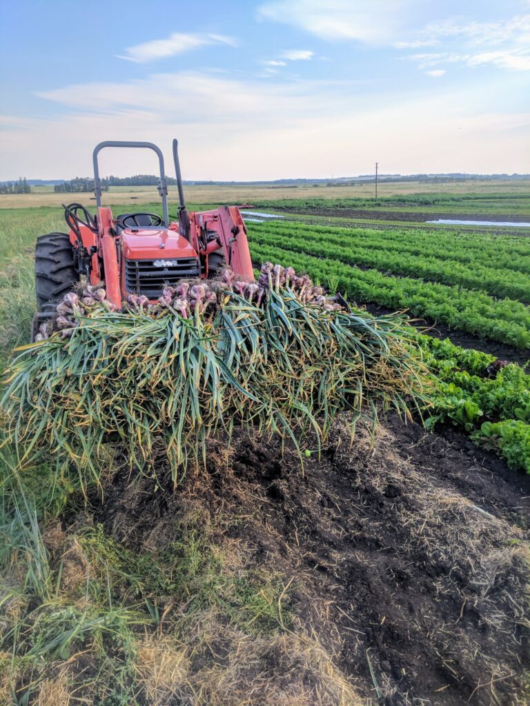 236956255_4254061438006803_3365529522188706248_n