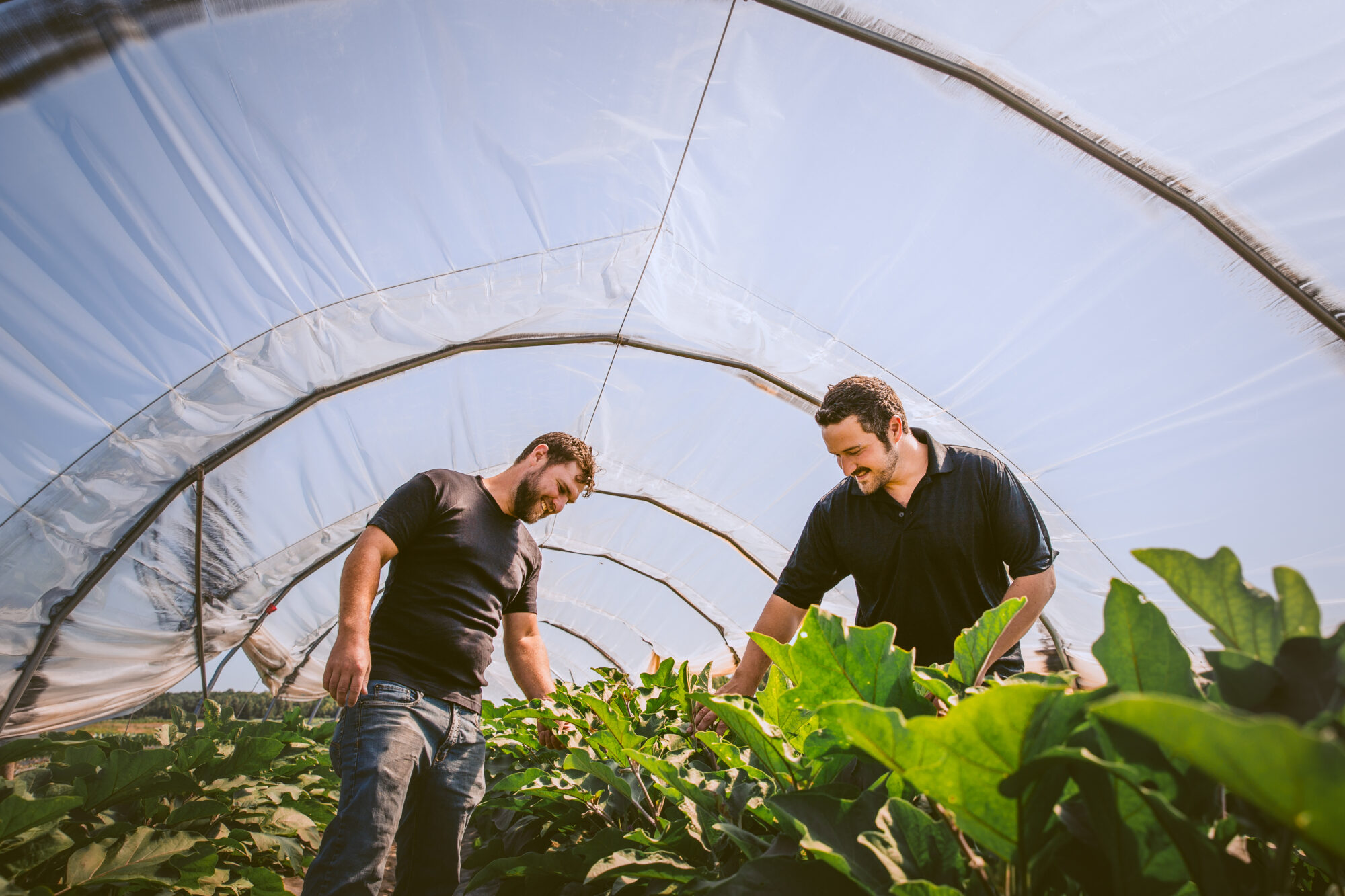 @myriambariltessier_IMG_7299_5472 x 3648_2018