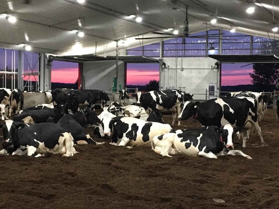 Ferme Clerjoye photo (1)