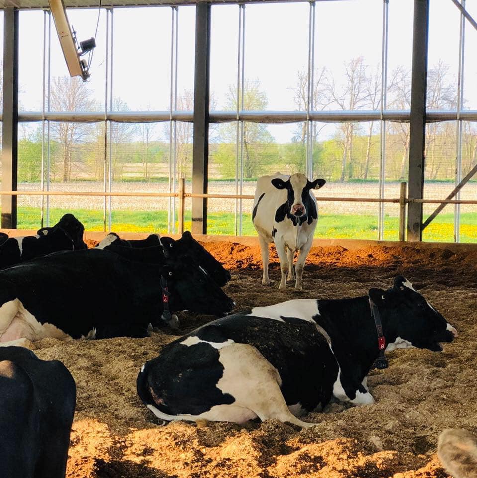 Ferme Clerjoye photo