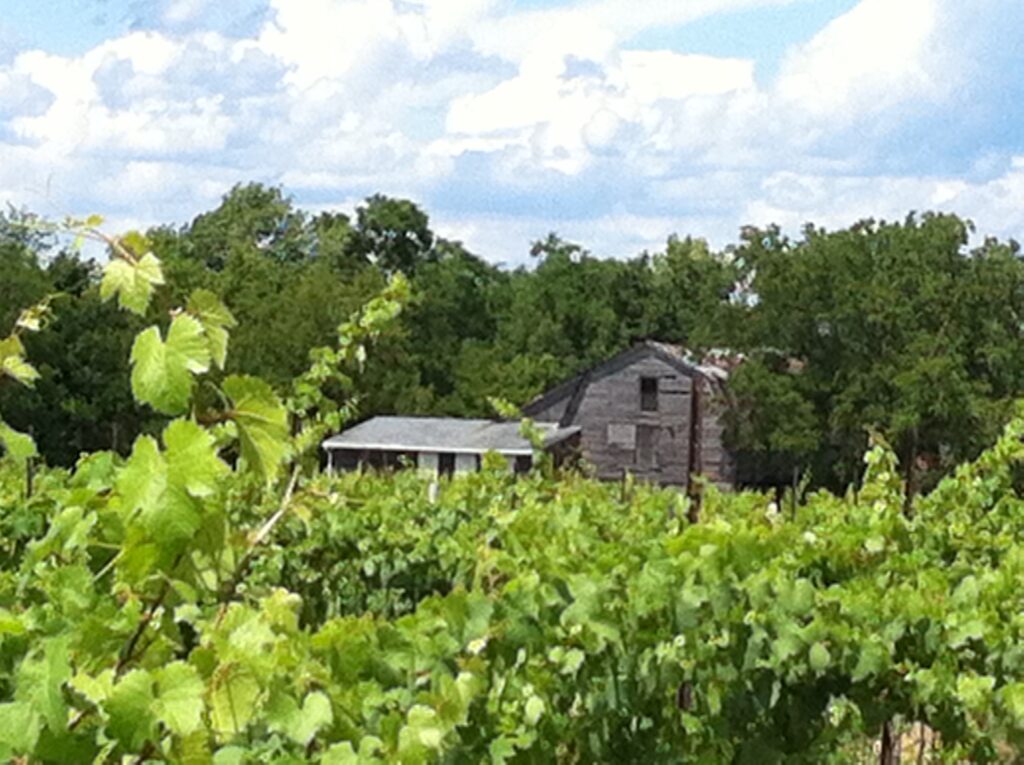 Logo-saunders-family-vineyard