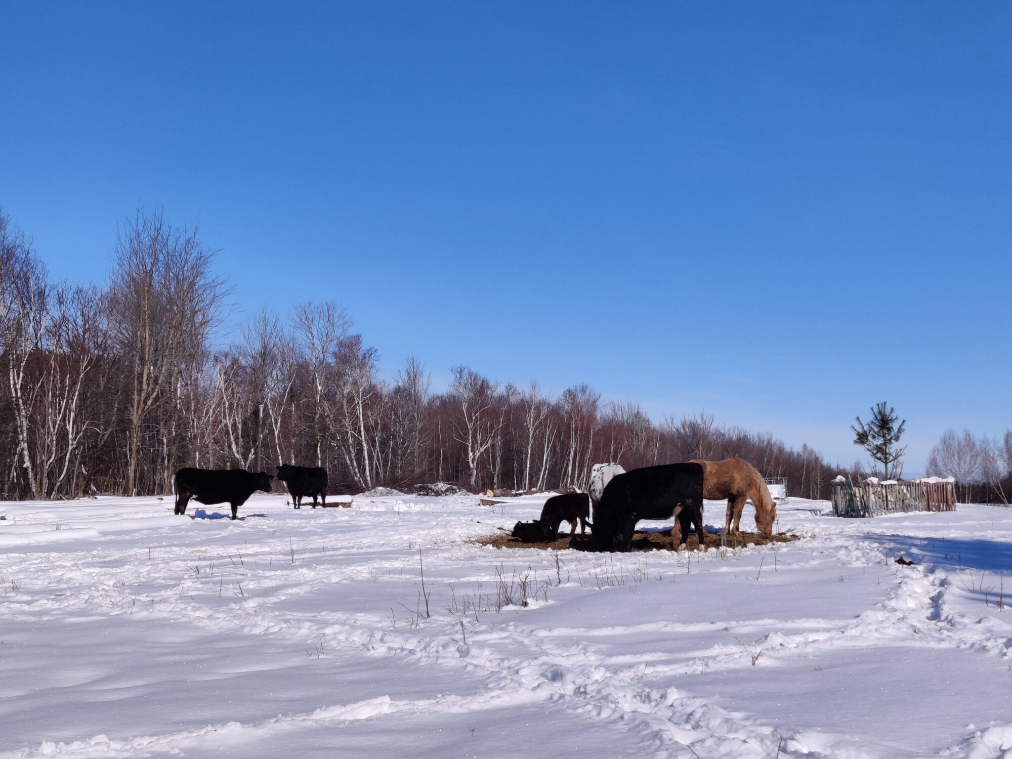 Photos for Regenerative Farms (1)