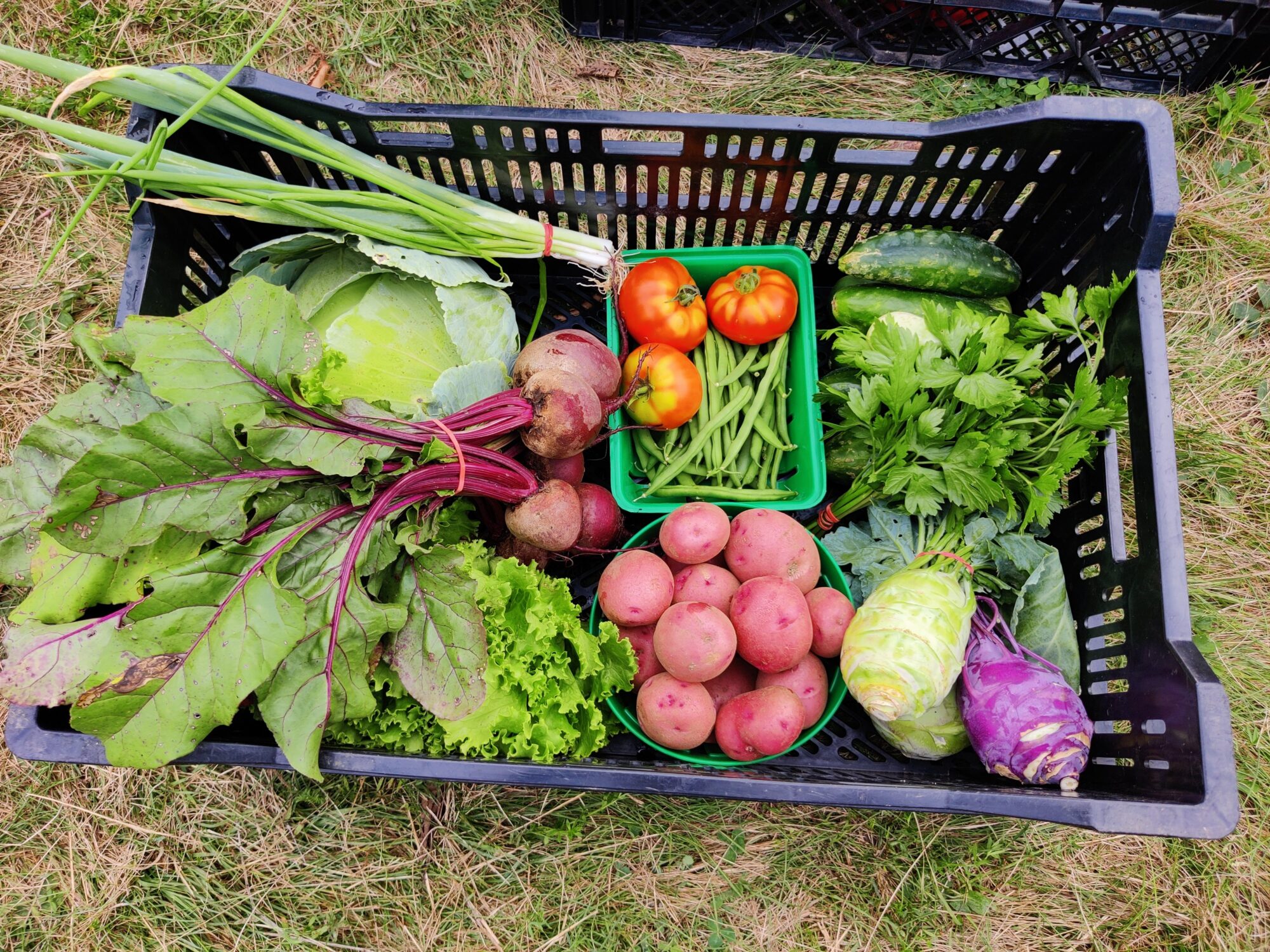 Photos for Regenerative Farms