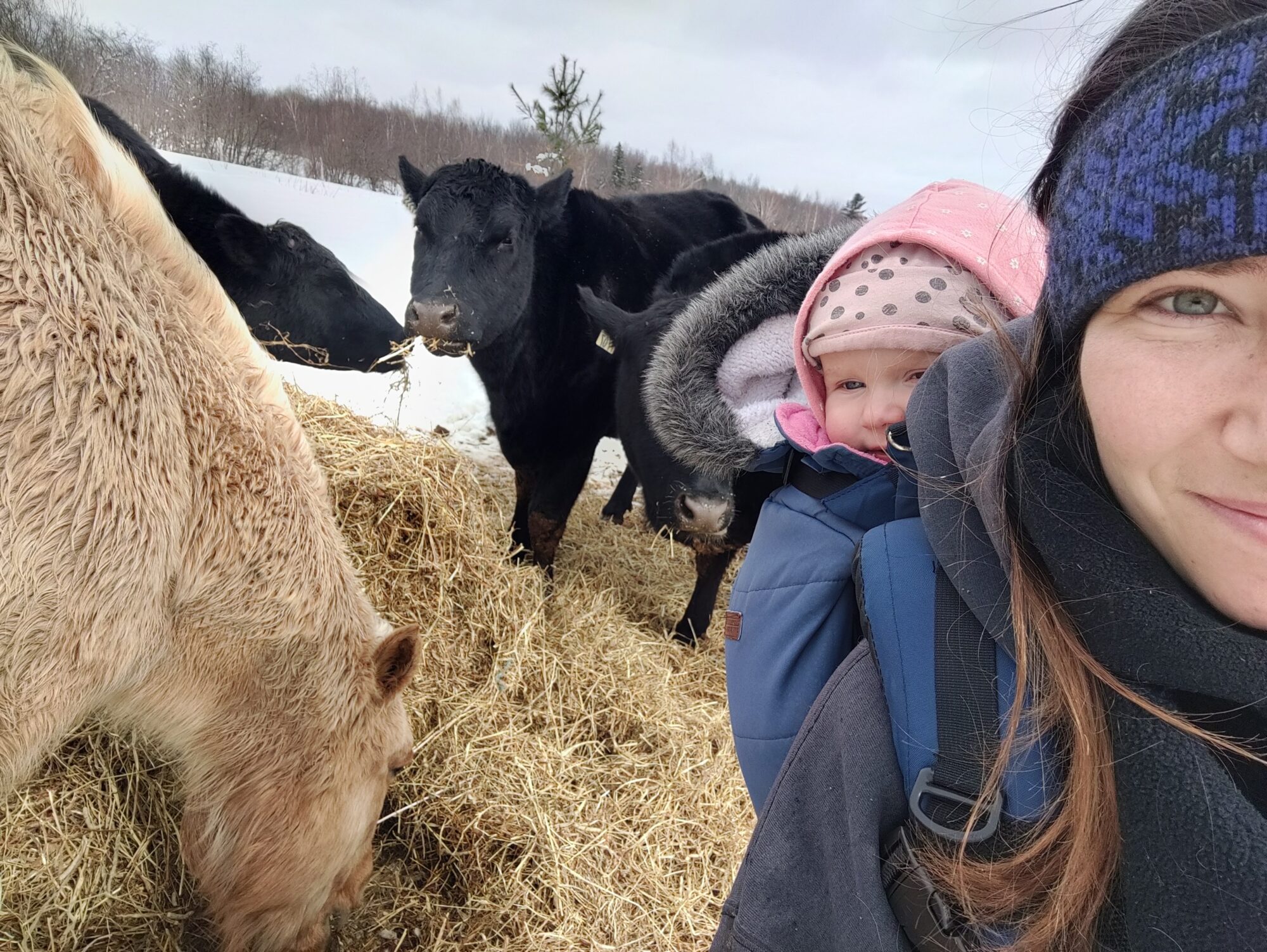 Photos for Regenerative Farms Mar 11 2024