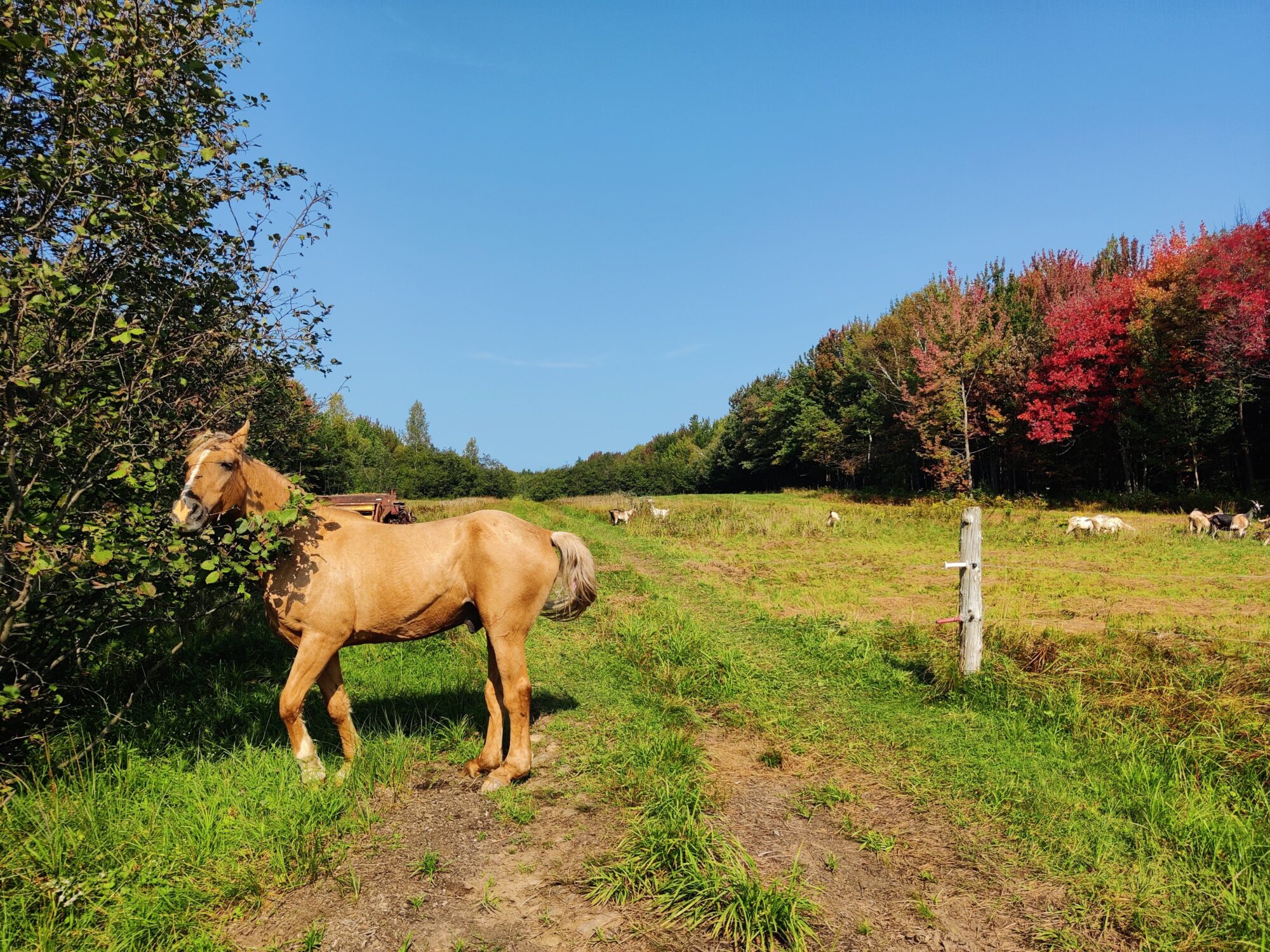 Photos for Regenerative Farms Sept 15