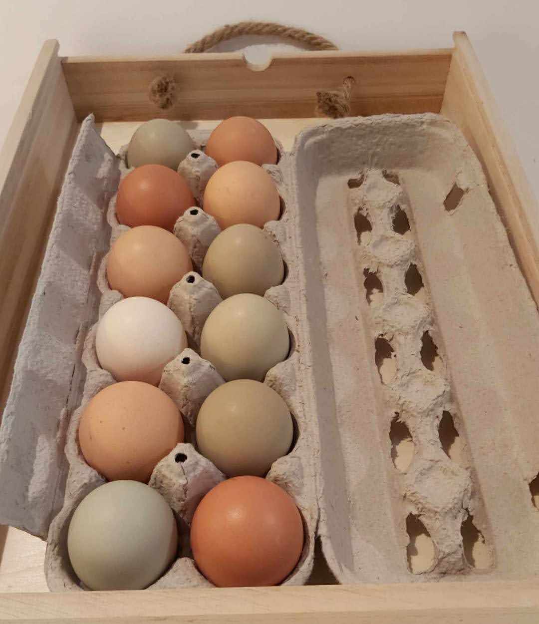 Photos for Regenerative Farms