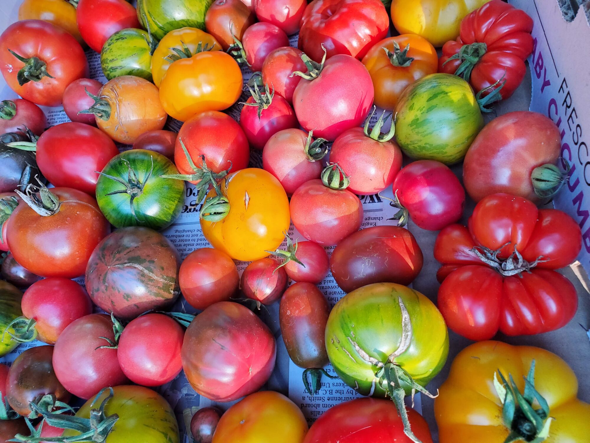 agua-dulce-farm_7Y7F678y4q4E_1