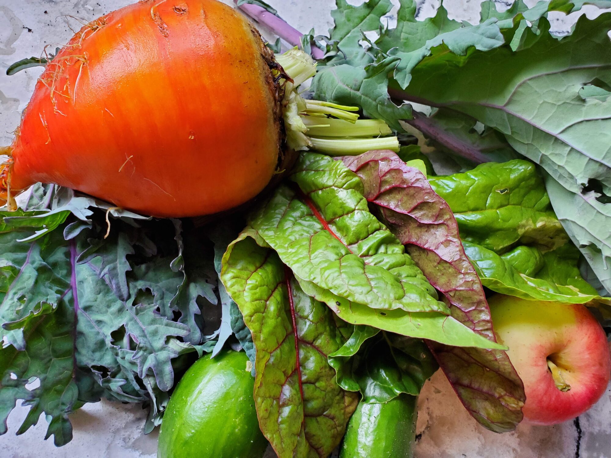 agua-dulce-farm_7Y7F678y4q4E_2