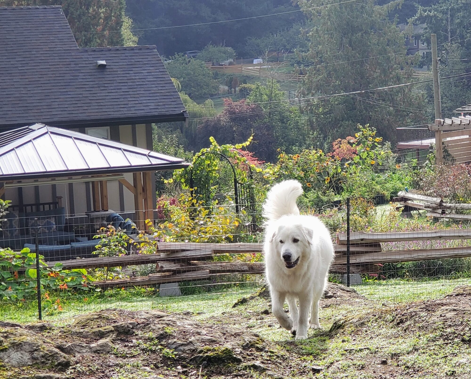 agua-dulce-farm_7Y7F678y4q4E_3