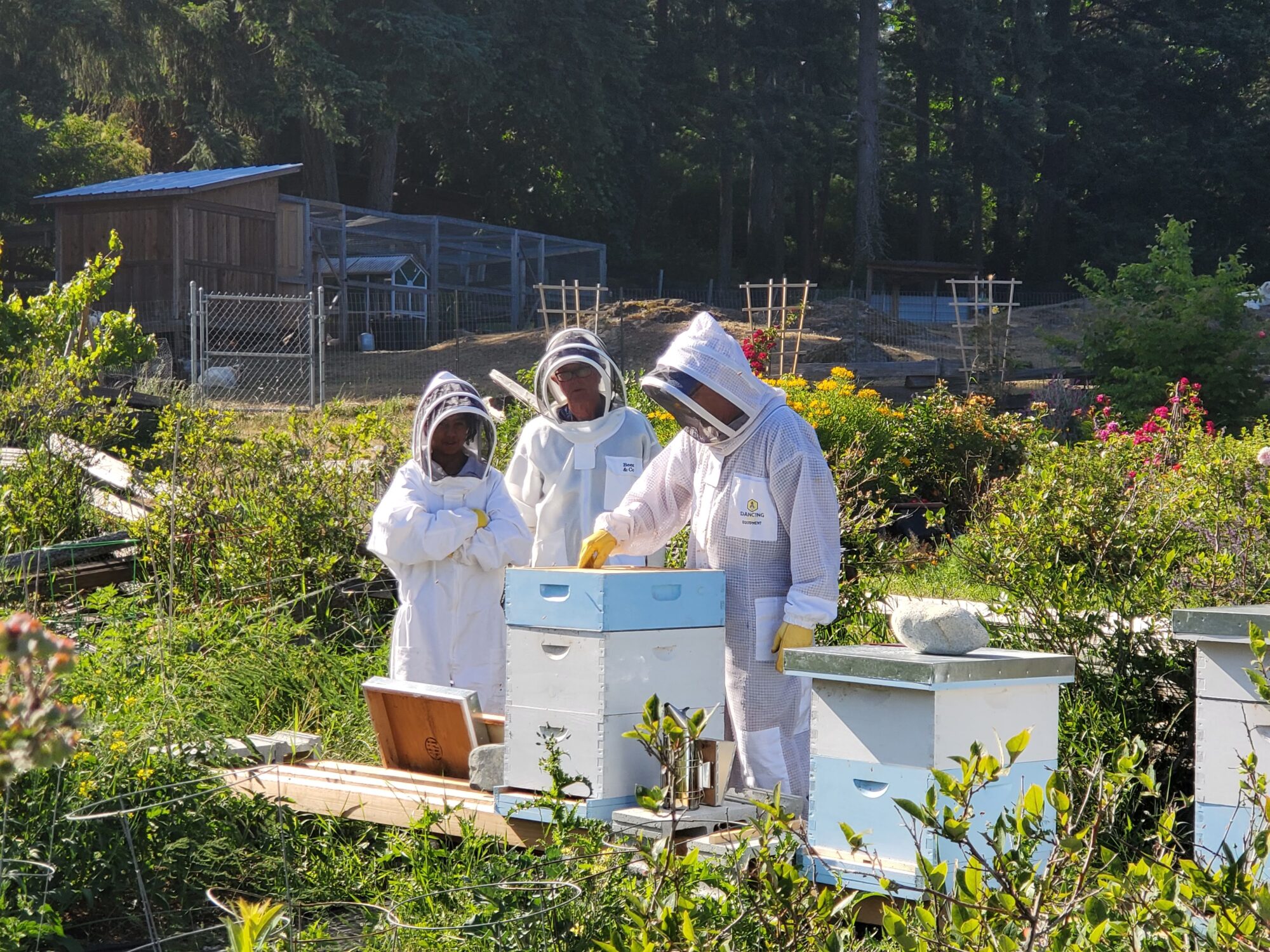 agua-dulce-farm_7Y7F678y4q4E_6