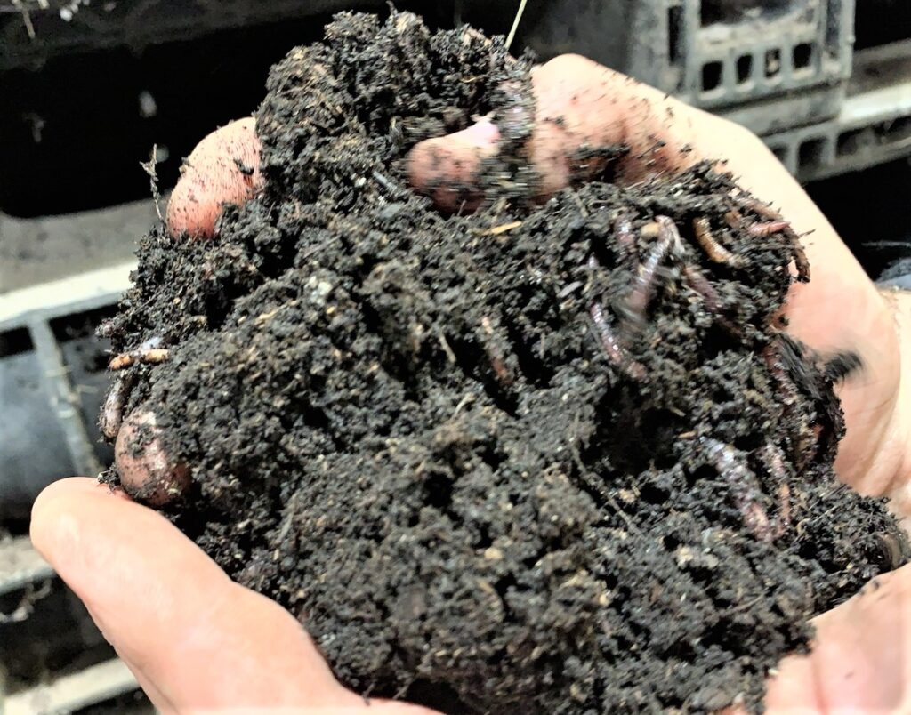 clearview-farms-inc_5EKorYBbhdhW_0