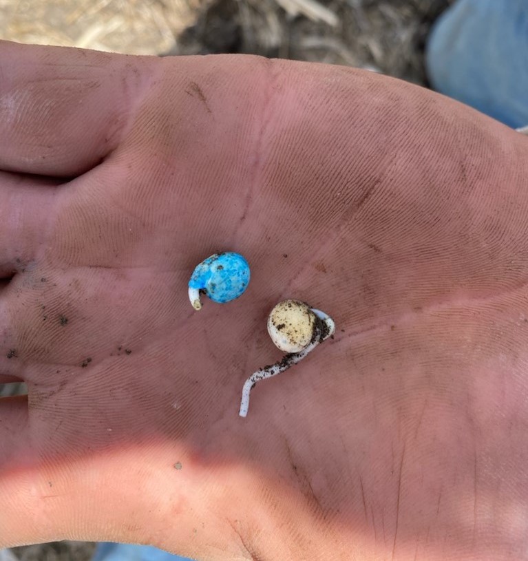 clearview-farms-inc_mWCkAT6odd9W_0