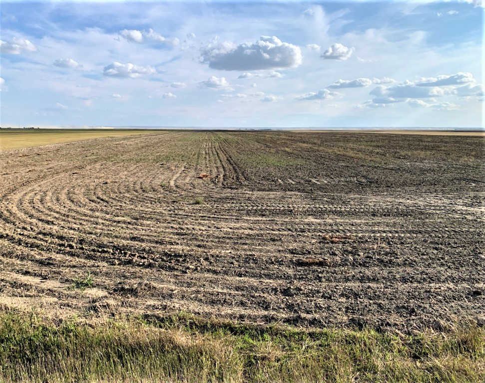 Clearview Farms Inc Régénération Canada