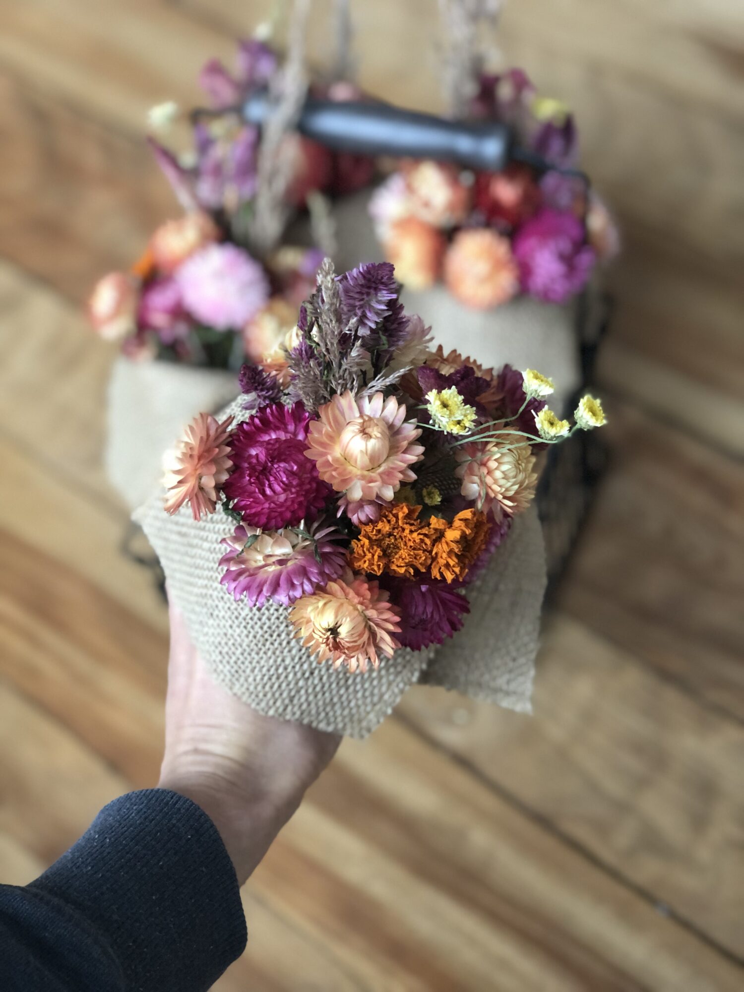 divine-colour-acres_iBpLEq6Tsipi_0