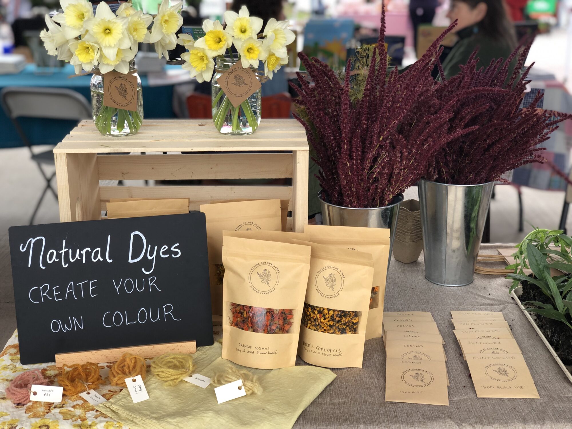 divine-colour-acres_jyu9ADrez8z5_0