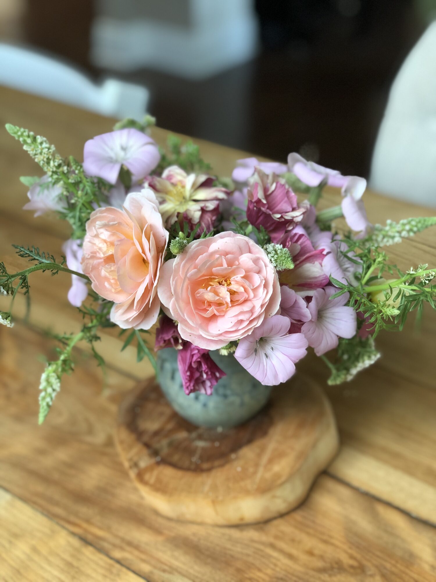 divine-colour-acres_nEMNmuwvfHqZ_0