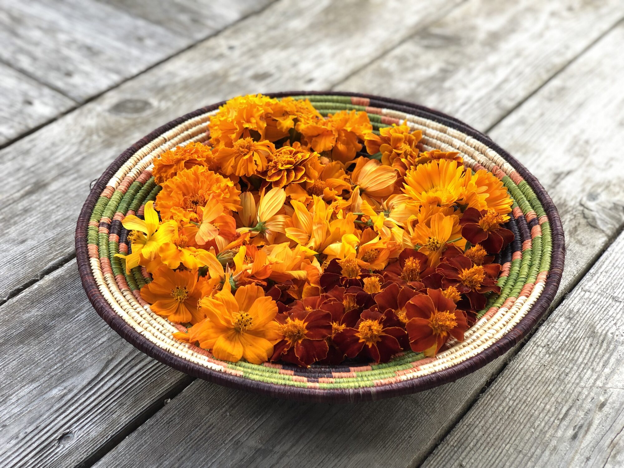 divine-colour-acres_nEMNmuwvfHqZ_1