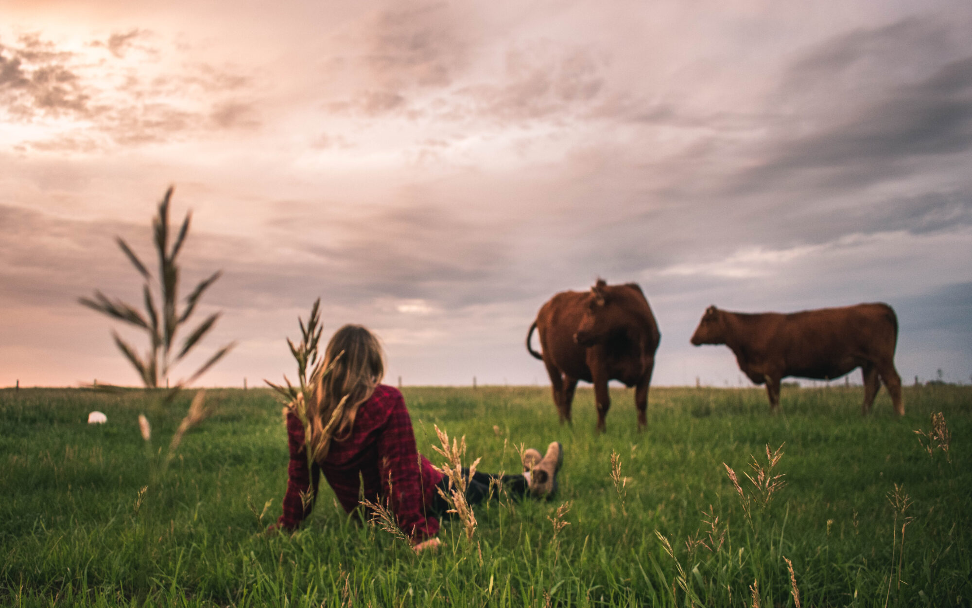 farm-one-forty_ZEfZyawgsKhl_0