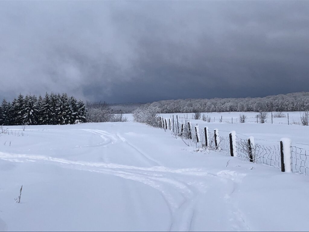 ferme-guayclair-inc_hMTCT7WVqXRY_0