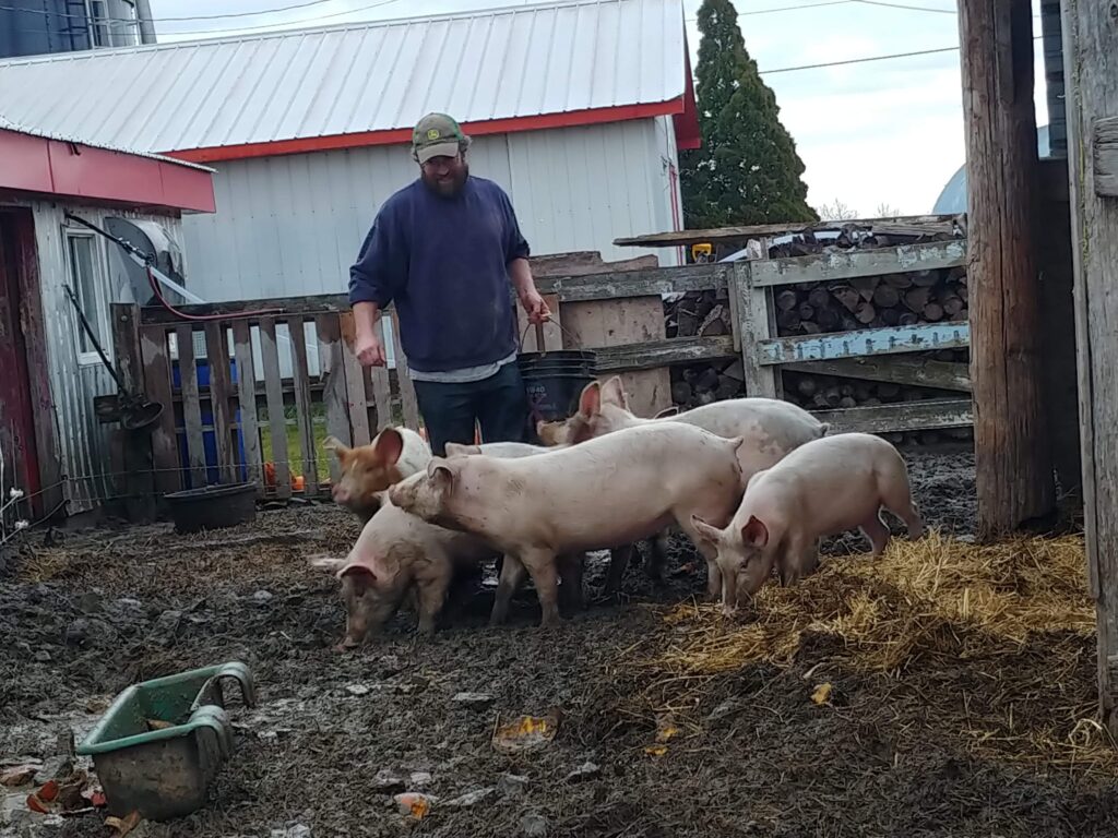 ferme-guayclair-inc_hMTCT7WVqXRY_1