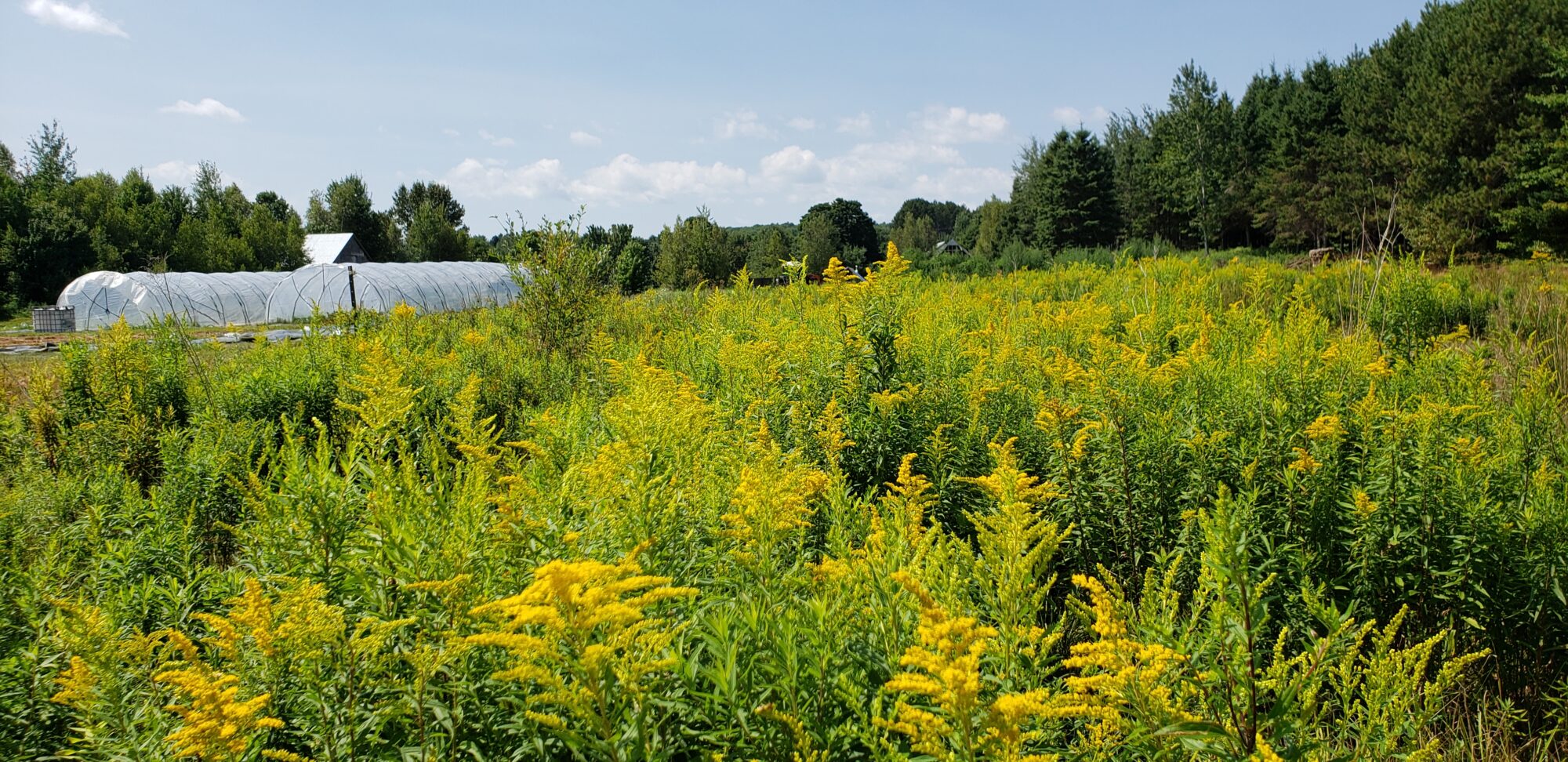 ferme-terra-millefolia_Aec9fvEt6Af8_1