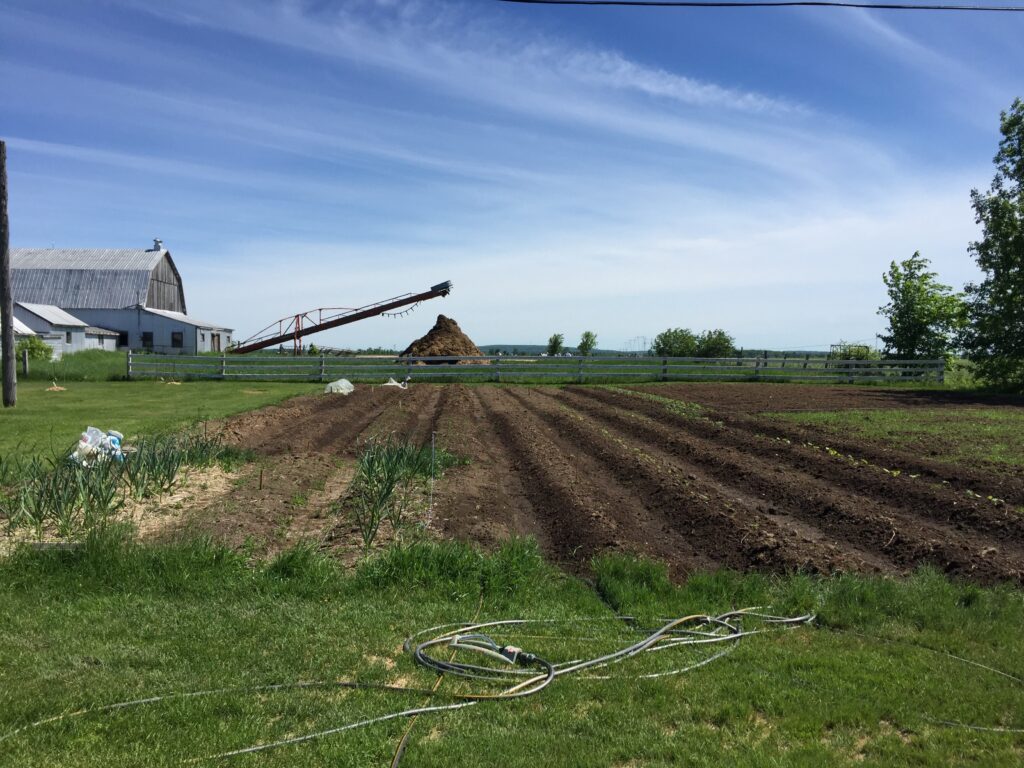 genevieve-grenon_LEPoXsCsTetA_0