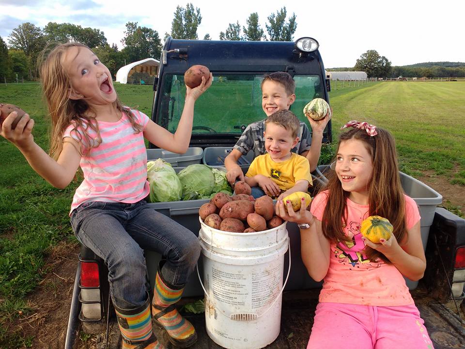 integrated-farms_7AmjW9vmaTJt_5