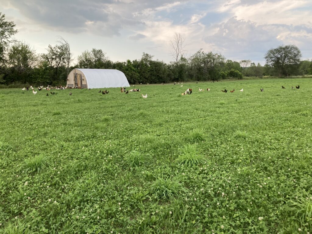 integrated-farms_FRybBha8o9zV_0