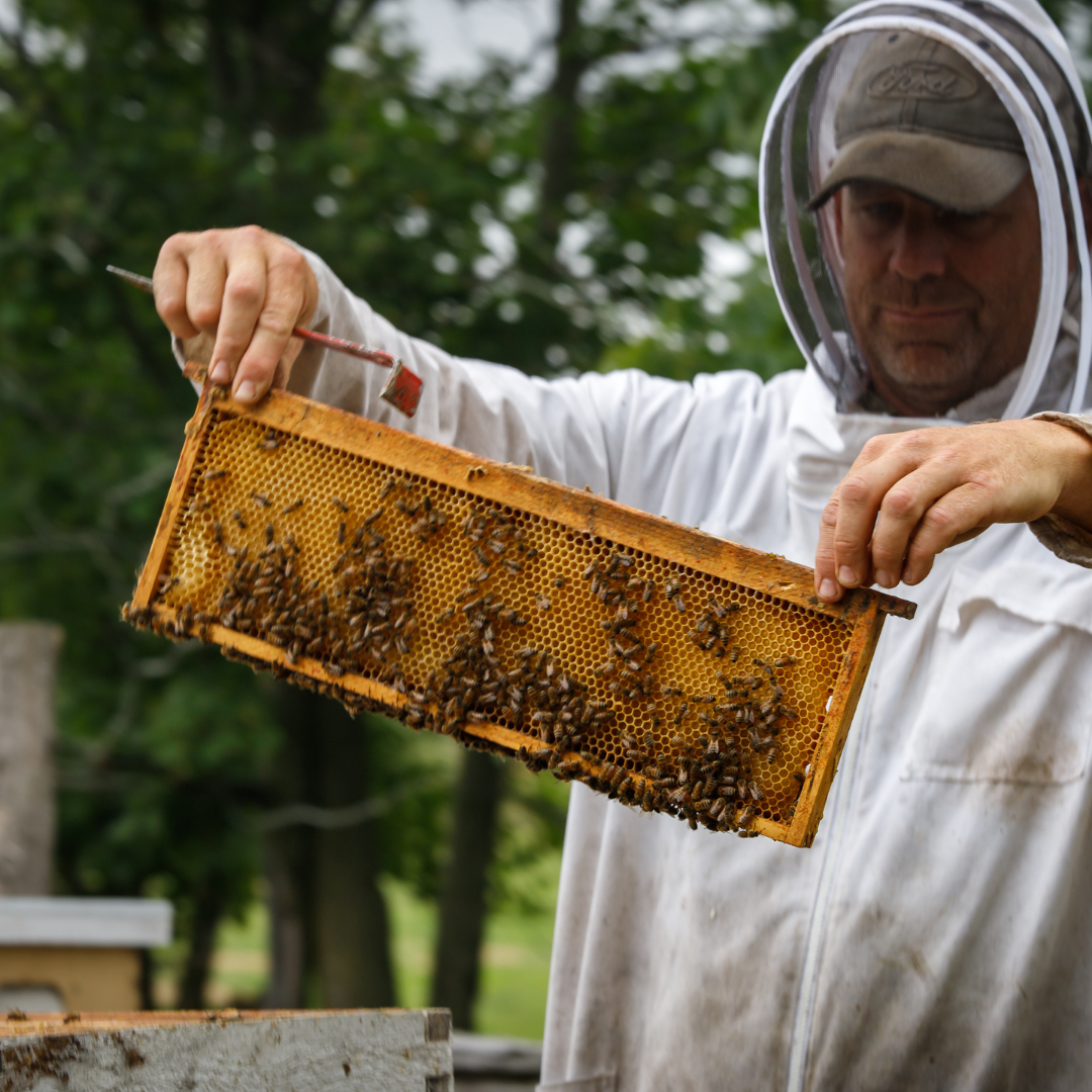 maple-ridge-farm_mmqy6uZe7lgE_0