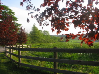 organics-farm_frpTREp9uVE8_5