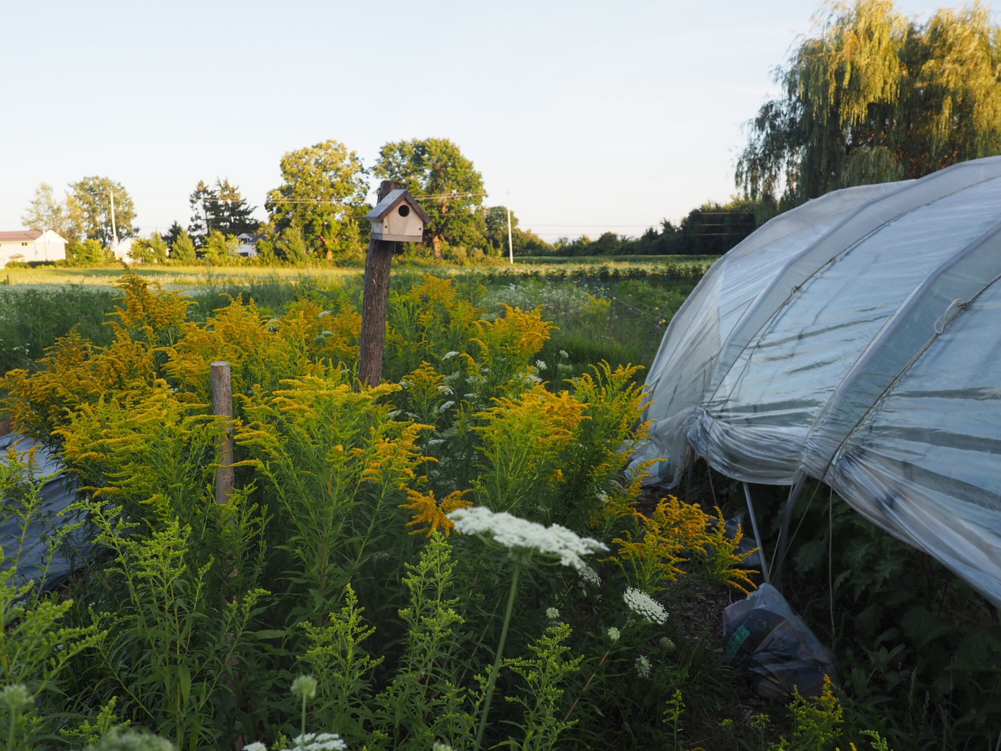 pepiniere-du-bocage_8ymzVmeHnwuj_0