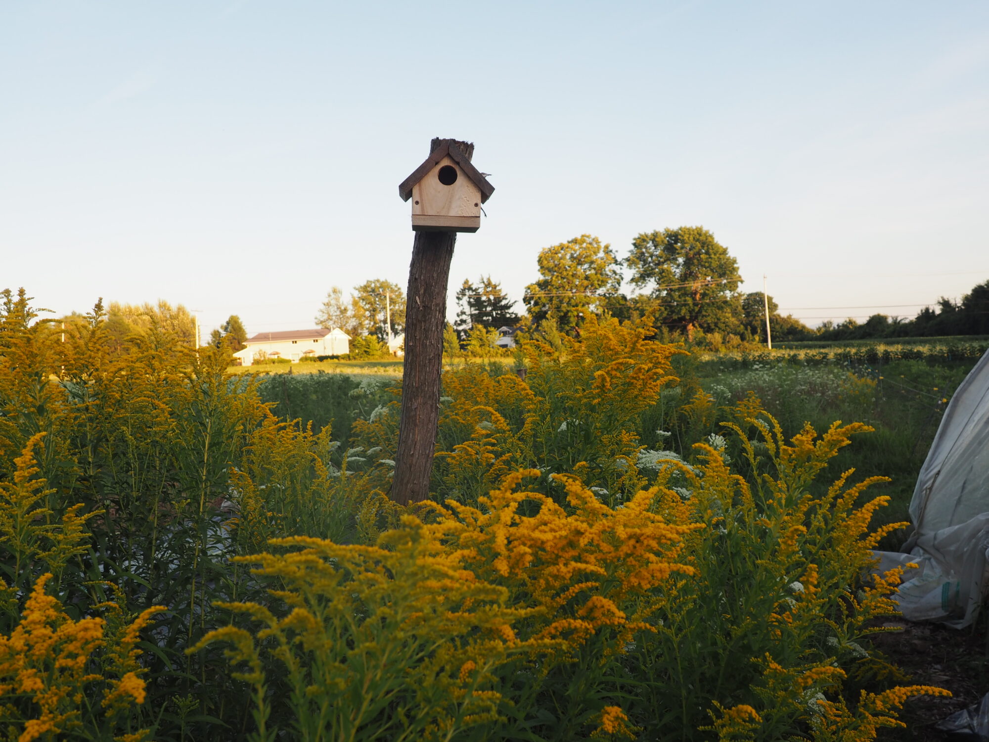 pepiniere-du-bocage_W9s8mthaCtfi_0