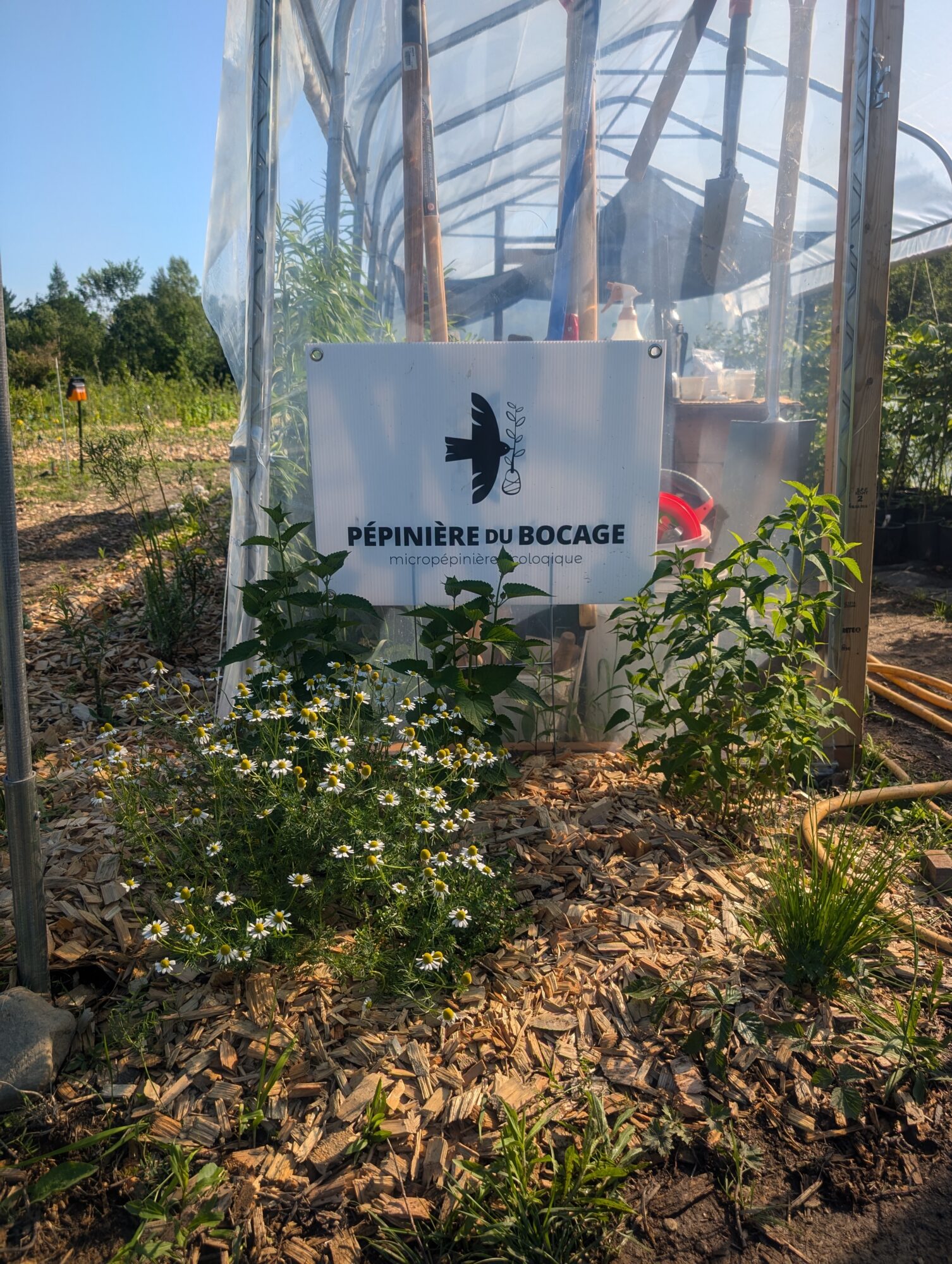 pepiniere-du-bocage_W9s8mthaCtfi_2