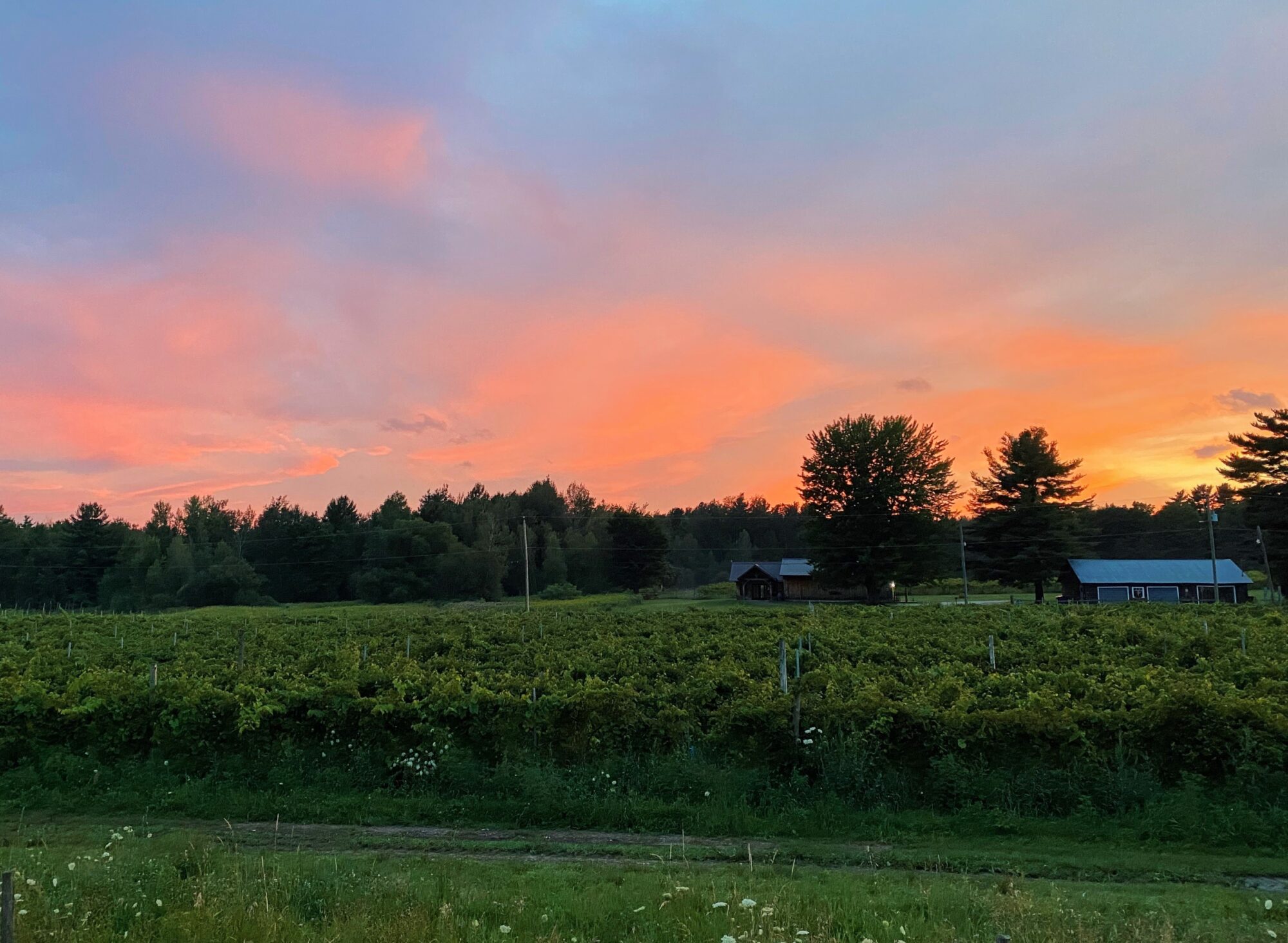 Vignoble Pigeon Hill Régénération Canada Farm Map