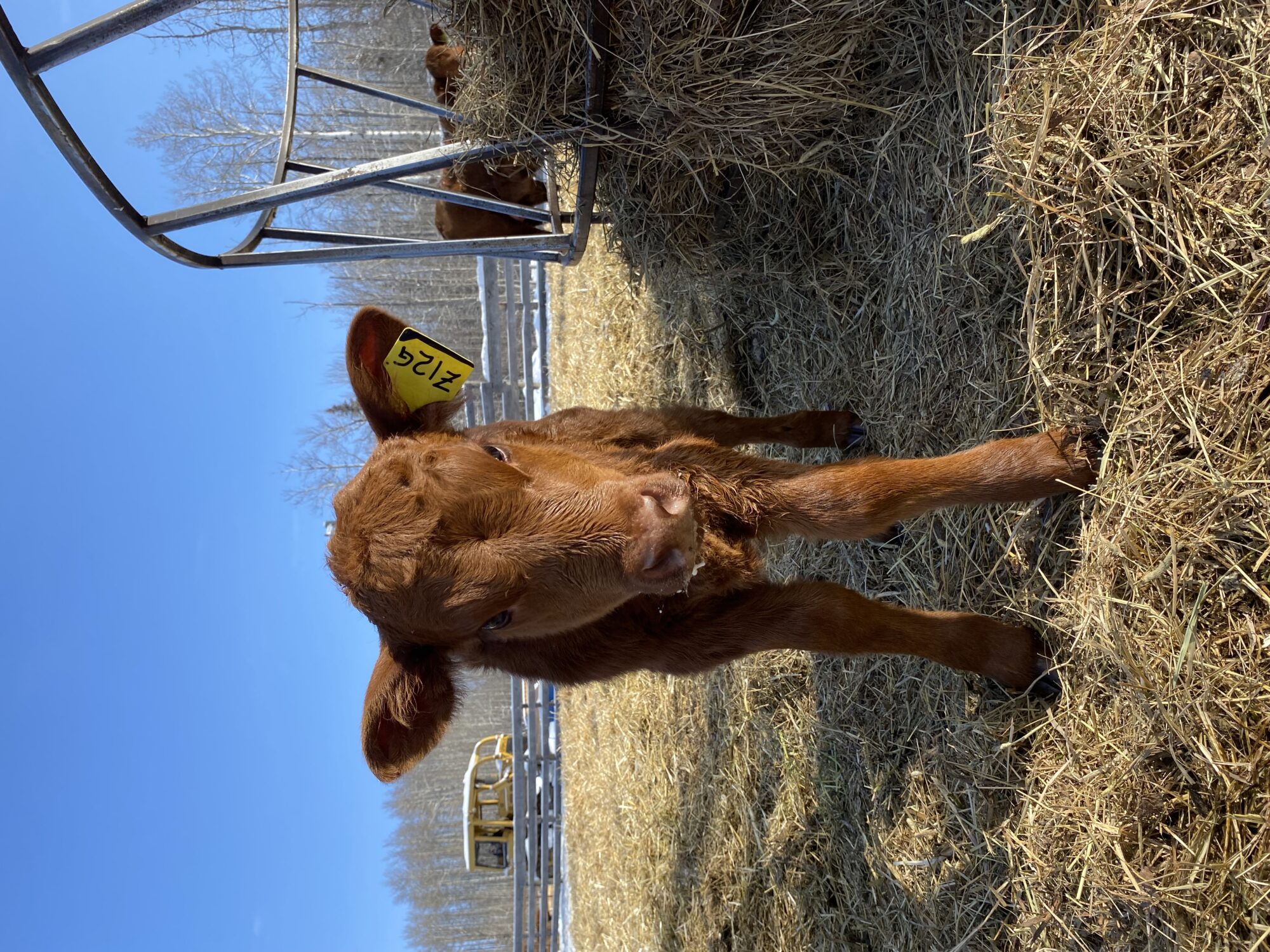 ravenwood-farm_Mem5aetHbVhe_0