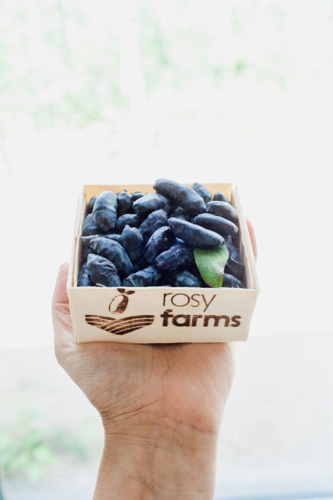 rosy-farms_pqXZ2uahPu4h_1