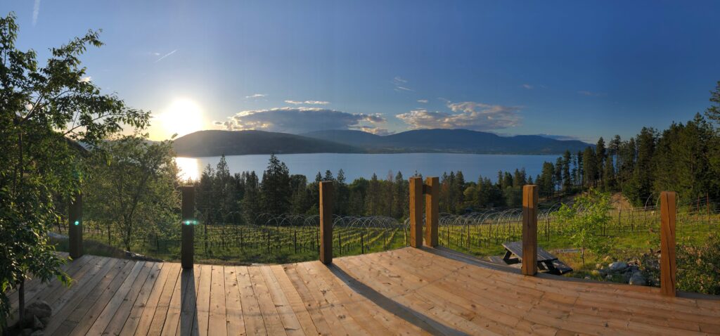 scorched-earth-vineyard-winery_VkjARfBYjKbD_0