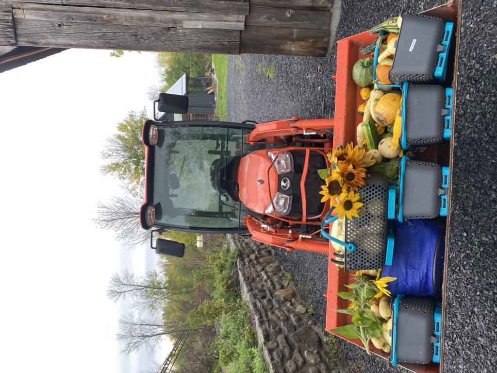 springfield-farm_9Y3PwgWrltol_0