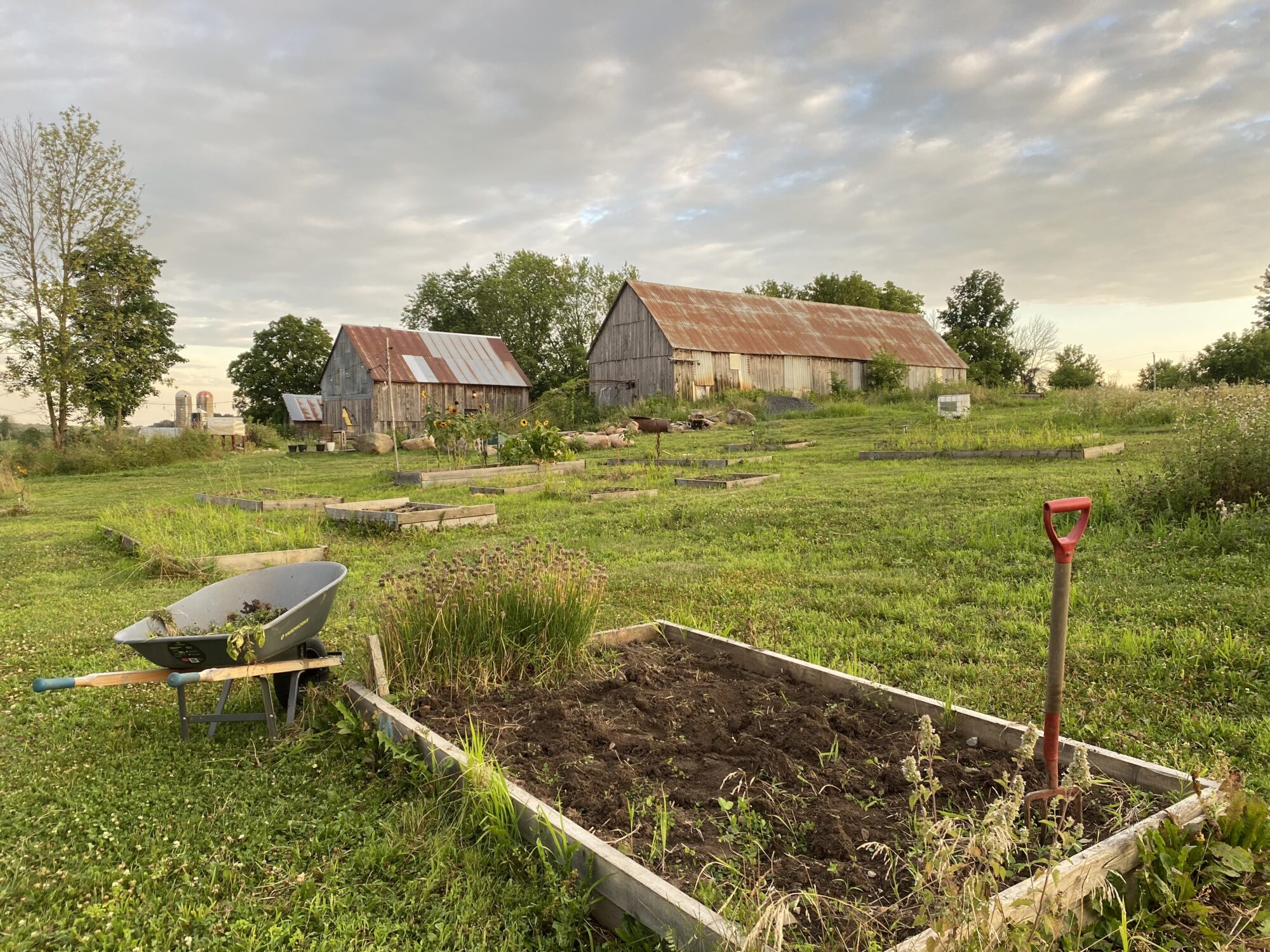springfield-farm_bgZZ64drKWil_0