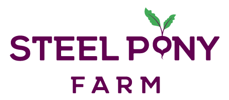 steel-pony-farm_nJPLfylmnjEu_0