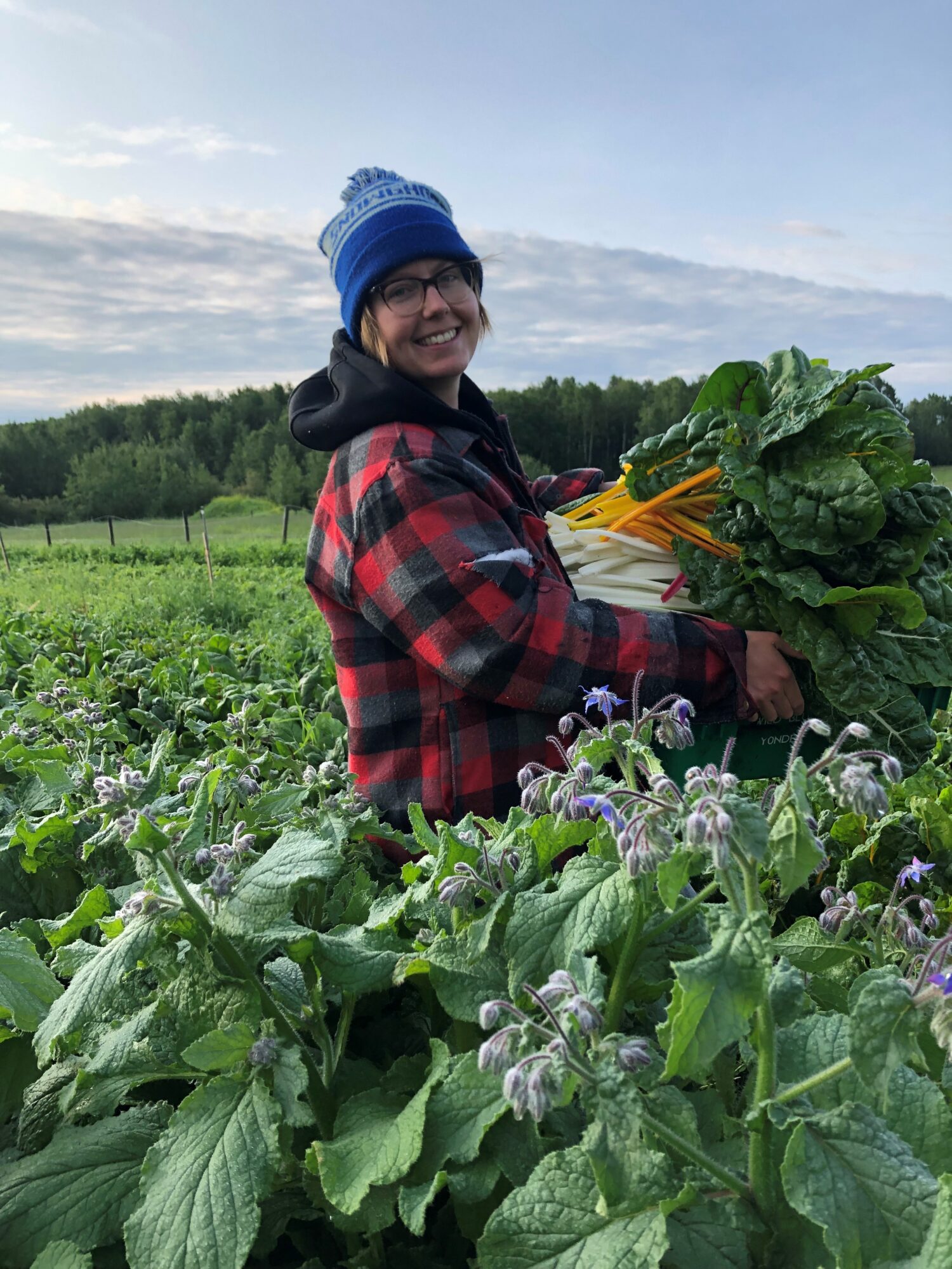 the-homestead_eJYZWVoi5tvi_0