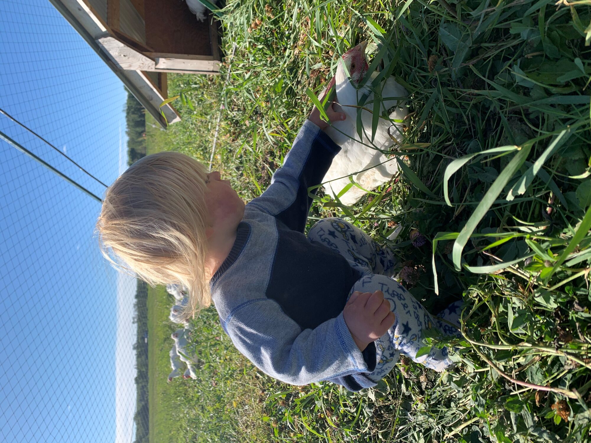 the-homestead_eJYZWVoi5tvi_2