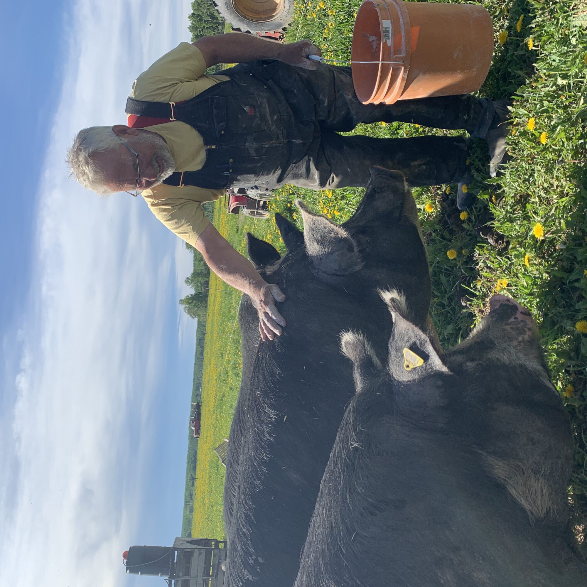 the-homestead_eJYZWVoi5tvi_3