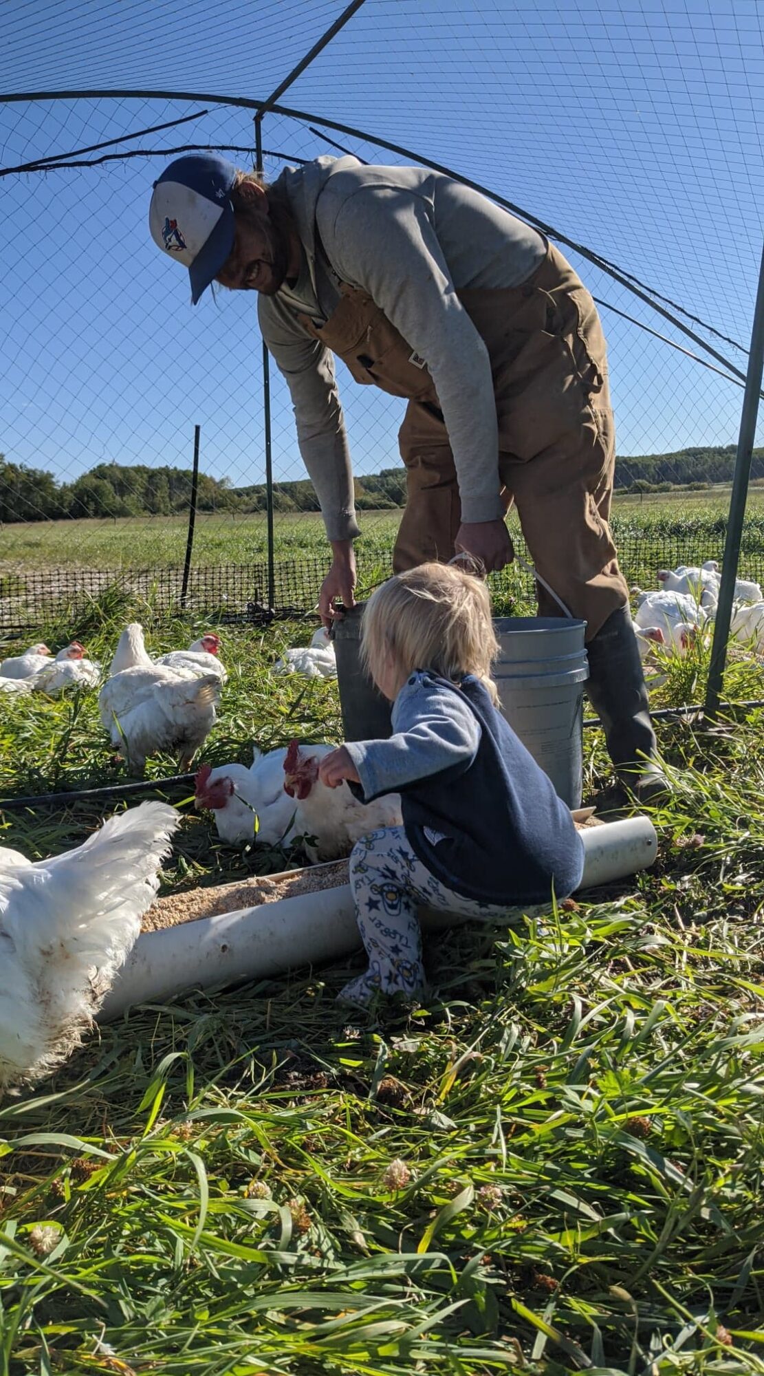 the-homestead_mxuawYhzcs34_0