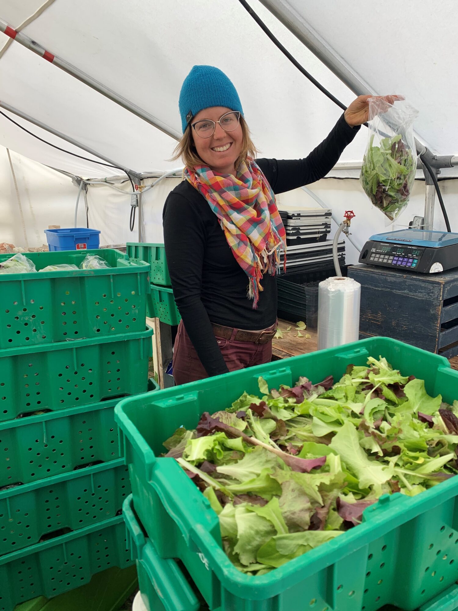 the-homestead_mxuawYhzcs34_2