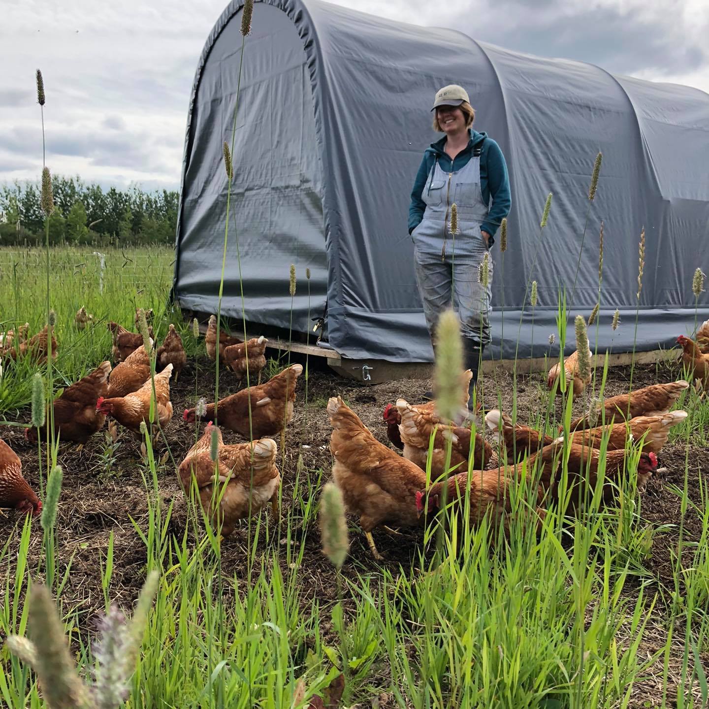 the-homestead_mxuawYhzcs34_3