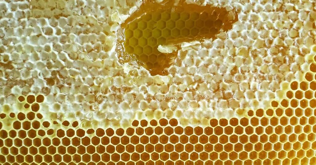 the-knotted-willow-farm-and-nursery_yAcbtBigbTtz_7