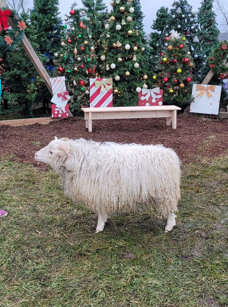 the-knotted-willow-farm-and-nursery_yAcbtBigbTtz_8