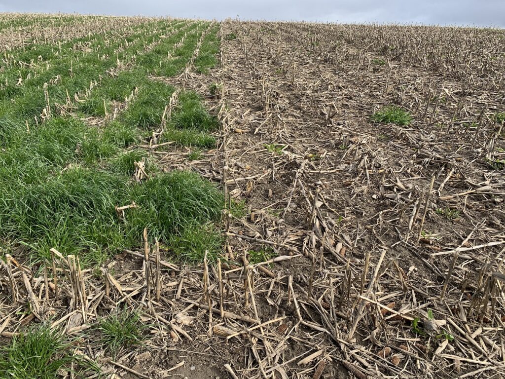 woodleigh-farms-ltd_LbscNhFqEYZ7_0